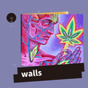 walls专辑