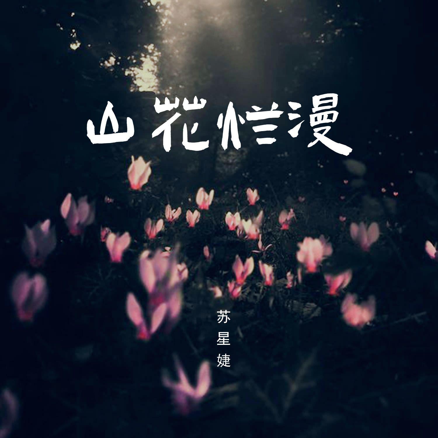 山花烂漫（DJAh版）