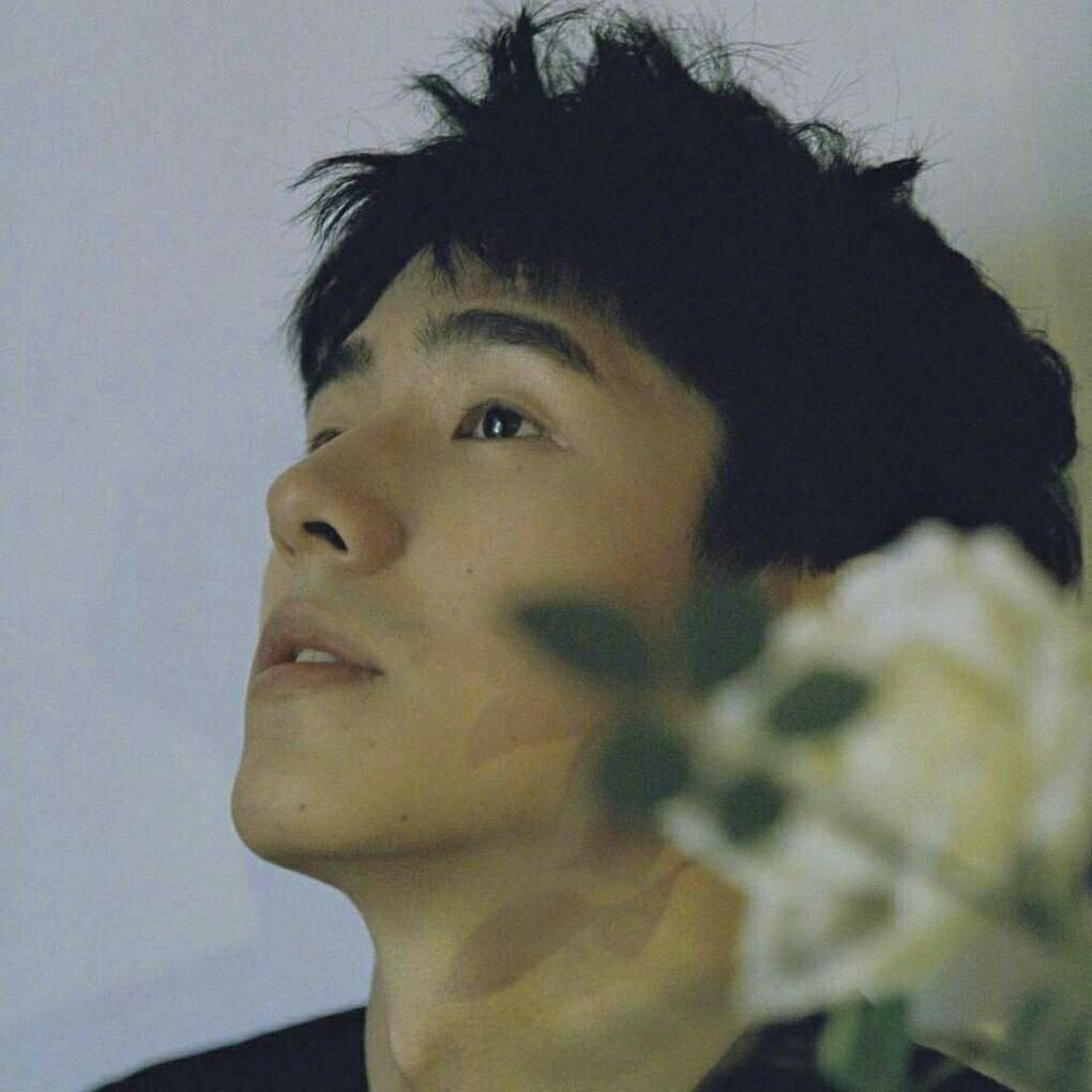 不爱你的人说最爱你的话