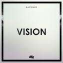 Vision (Mike Destiny Bootleg)专辑