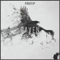 Raven (Original Mix)