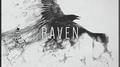 Raven (Original Mix)专辑
