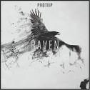 Raven (Original Mix)专辑