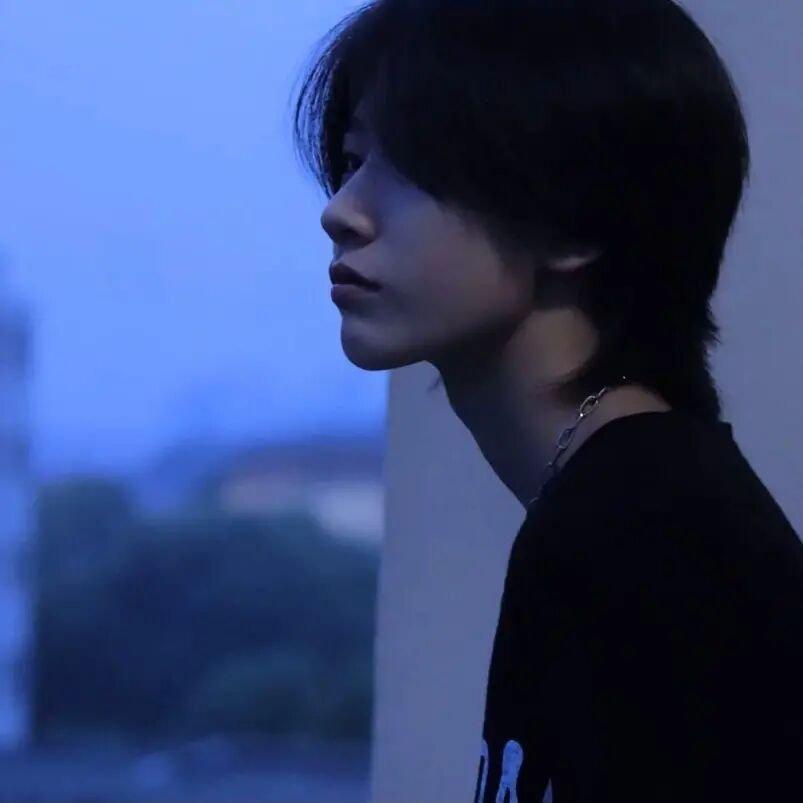 阳光擦干了我思念你的泪水
