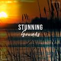 #14 Stunning Sounds for Buddhist Meditation and Yoga专辑