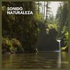 Sonidos de la selva - Sonido Naturaleza (25)