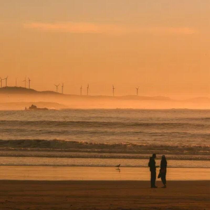 有我的歌声陪伴