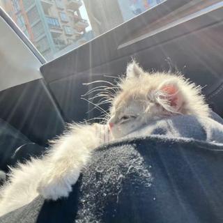 很遗憾有些人相识相知又归零