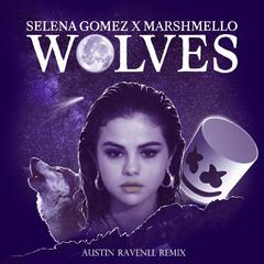 Selena Gomez-Wolves（ARVII remix）