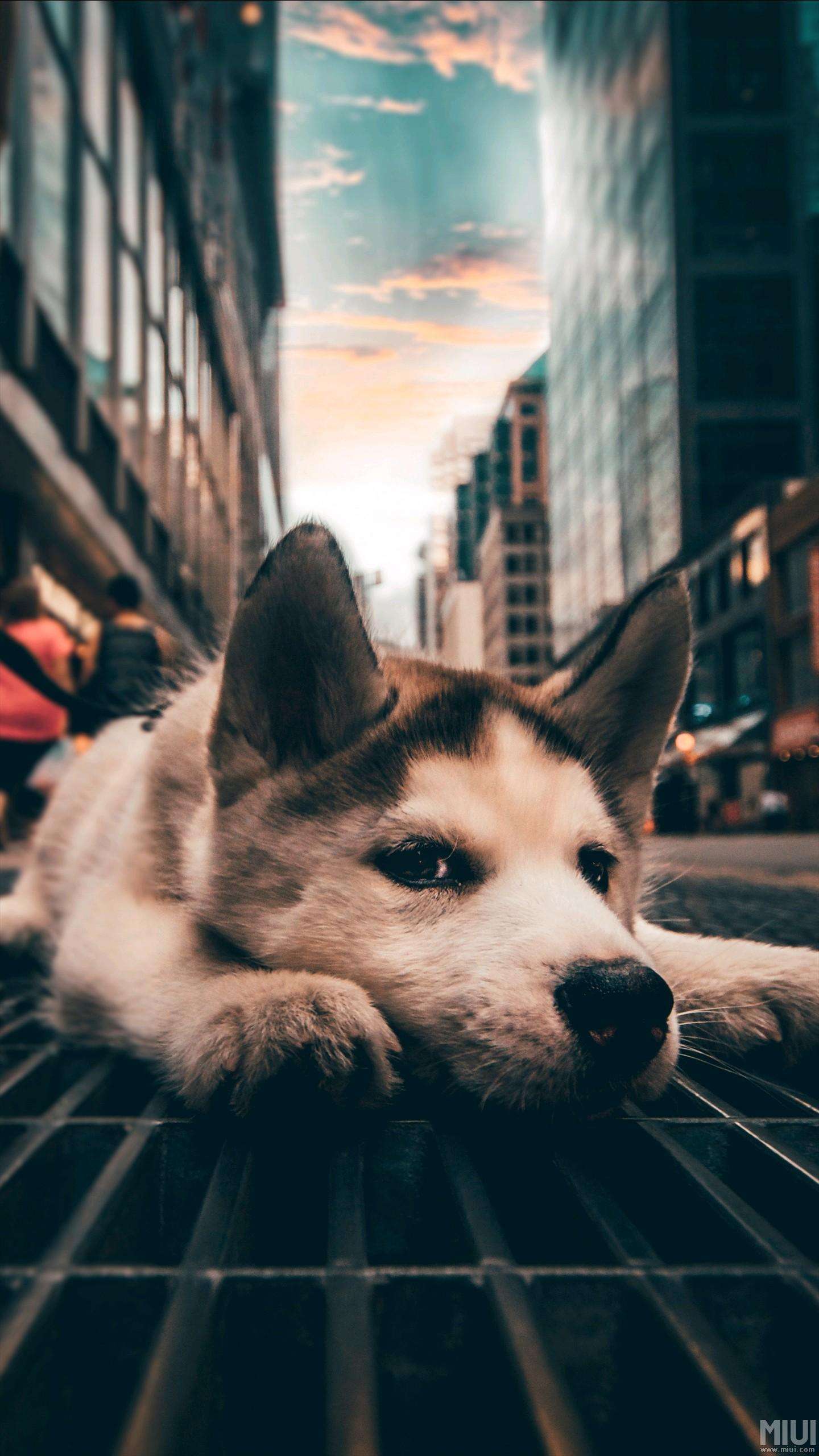 你就不要想起我