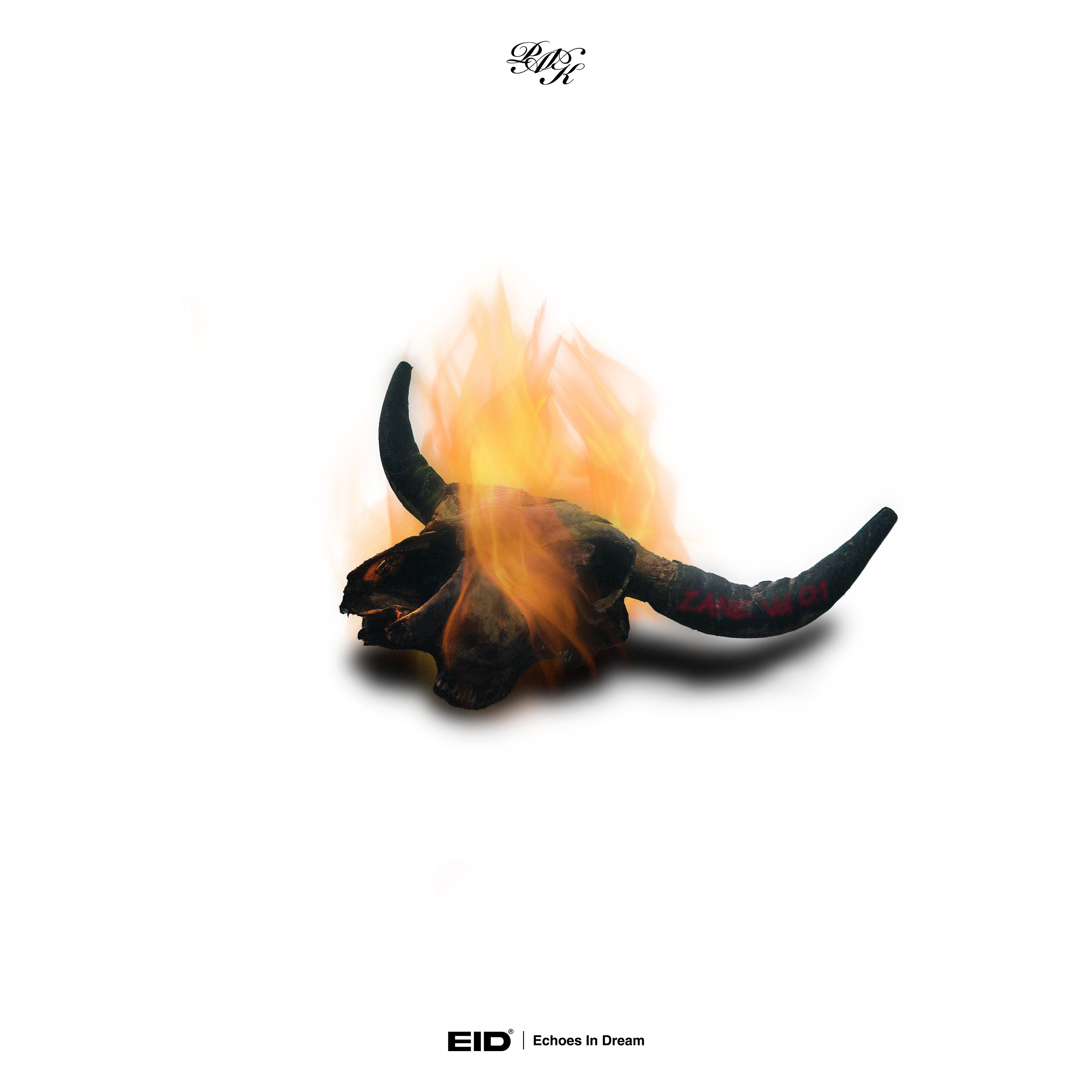 Zane vol.1