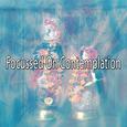 Focussed On Contemplation