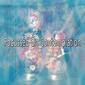 Focussed On Contemplation专辑