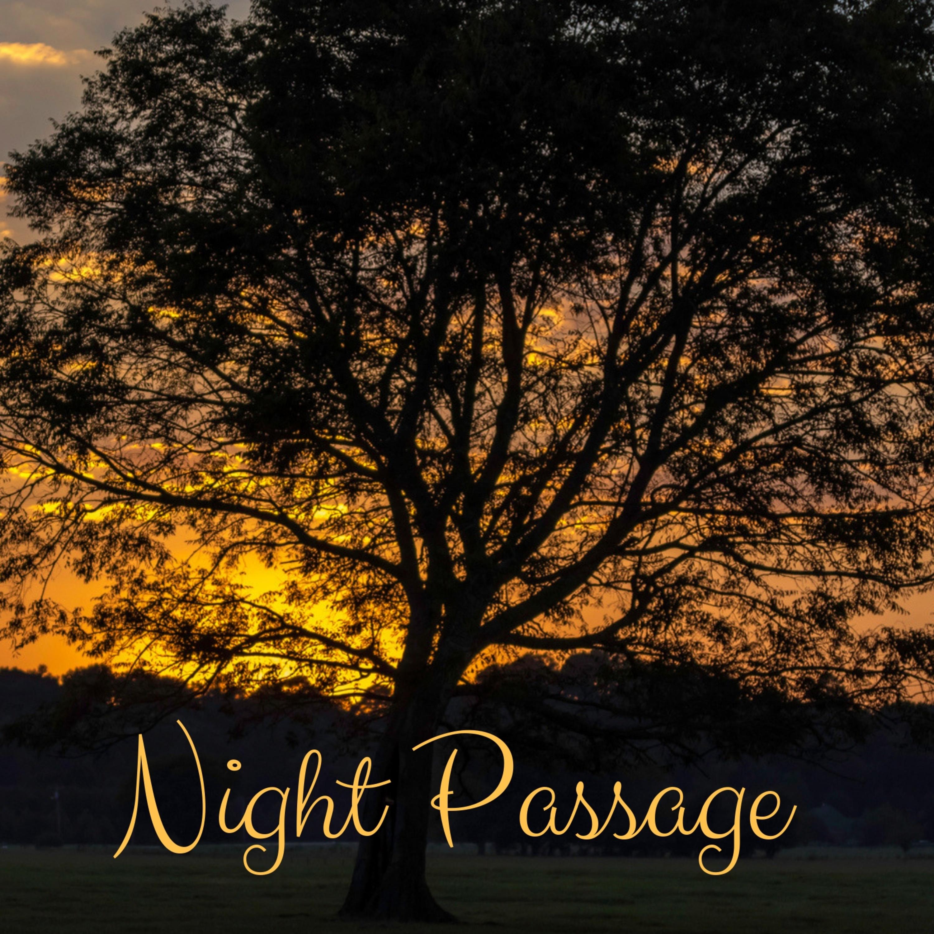Night Passage
