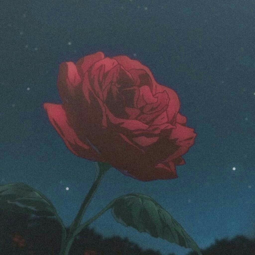 Indie Rock｜深夜低语