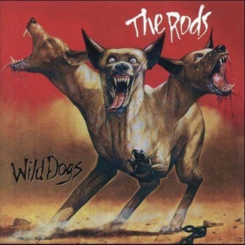 Wild Dogs
