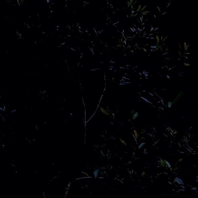 (Autumn) Midnight By A Stream Of The Hacking River
