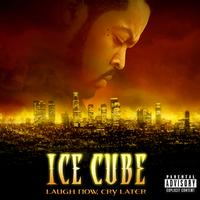 Steal The Show - Ice Cube (instrumental)