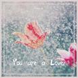 You are a Lover