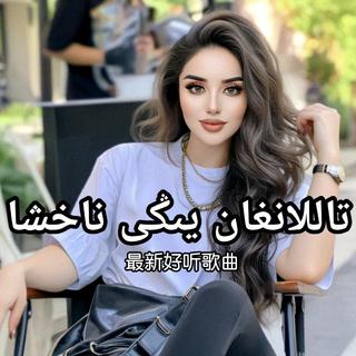 百听不厌的收藏，已久的热歌推荐！