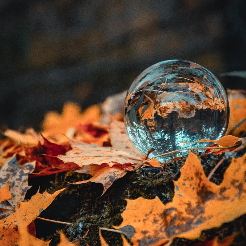 一起Chill | 耳机里的温柔秋天