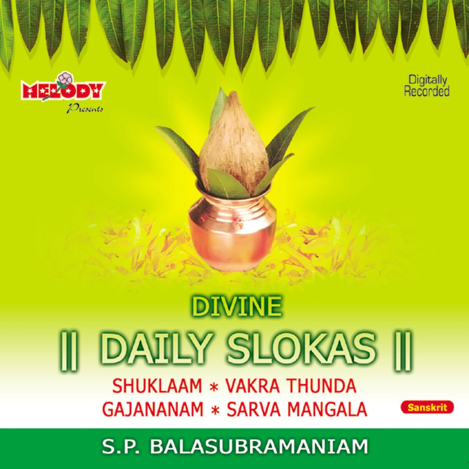 DIVINE DAILY SLOKAS ( DIVINE CHANTS )