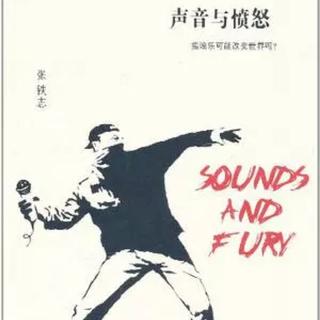 声音与愤怒：摇滚乐可能改变世界吗？