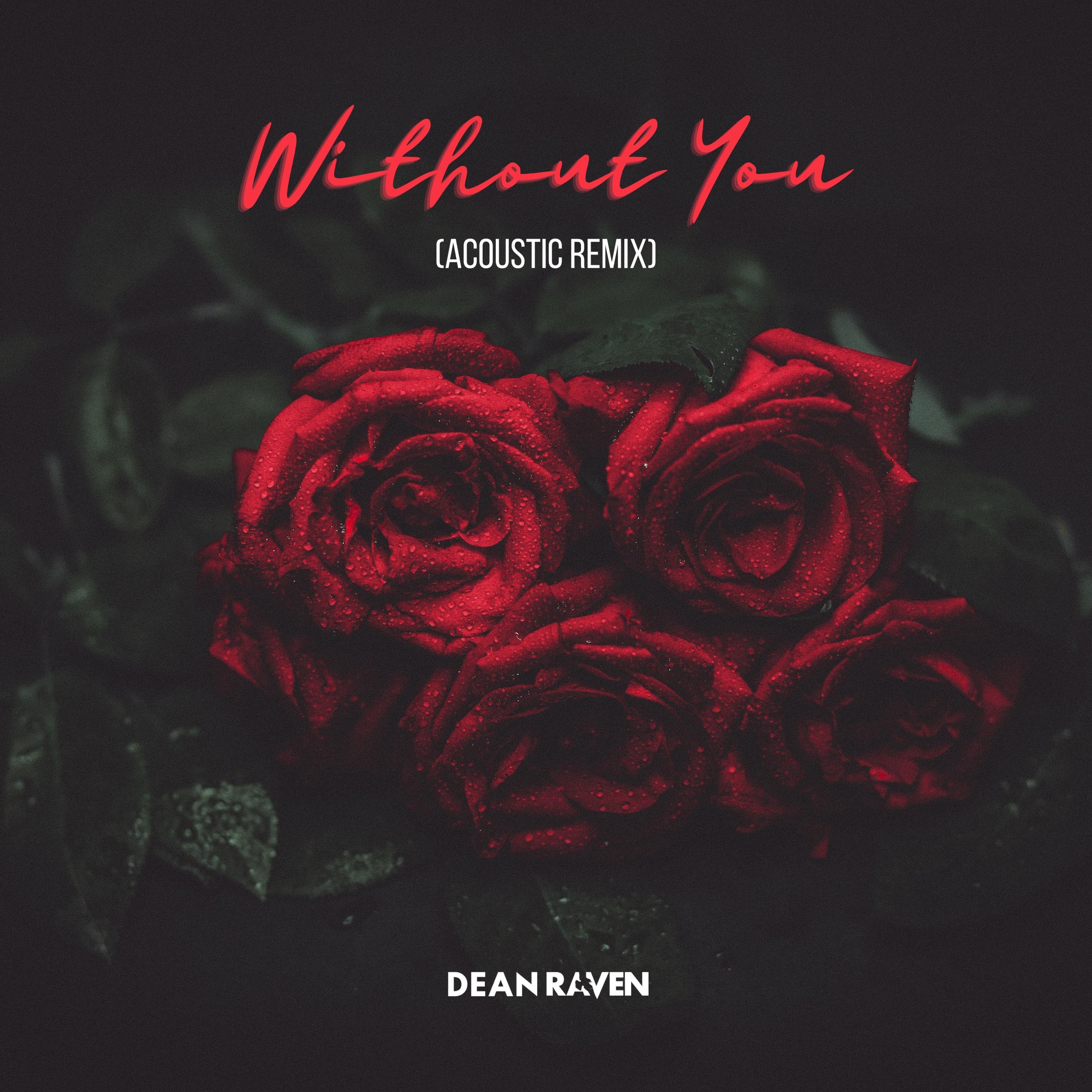 Without You (Acoustic Remix)
