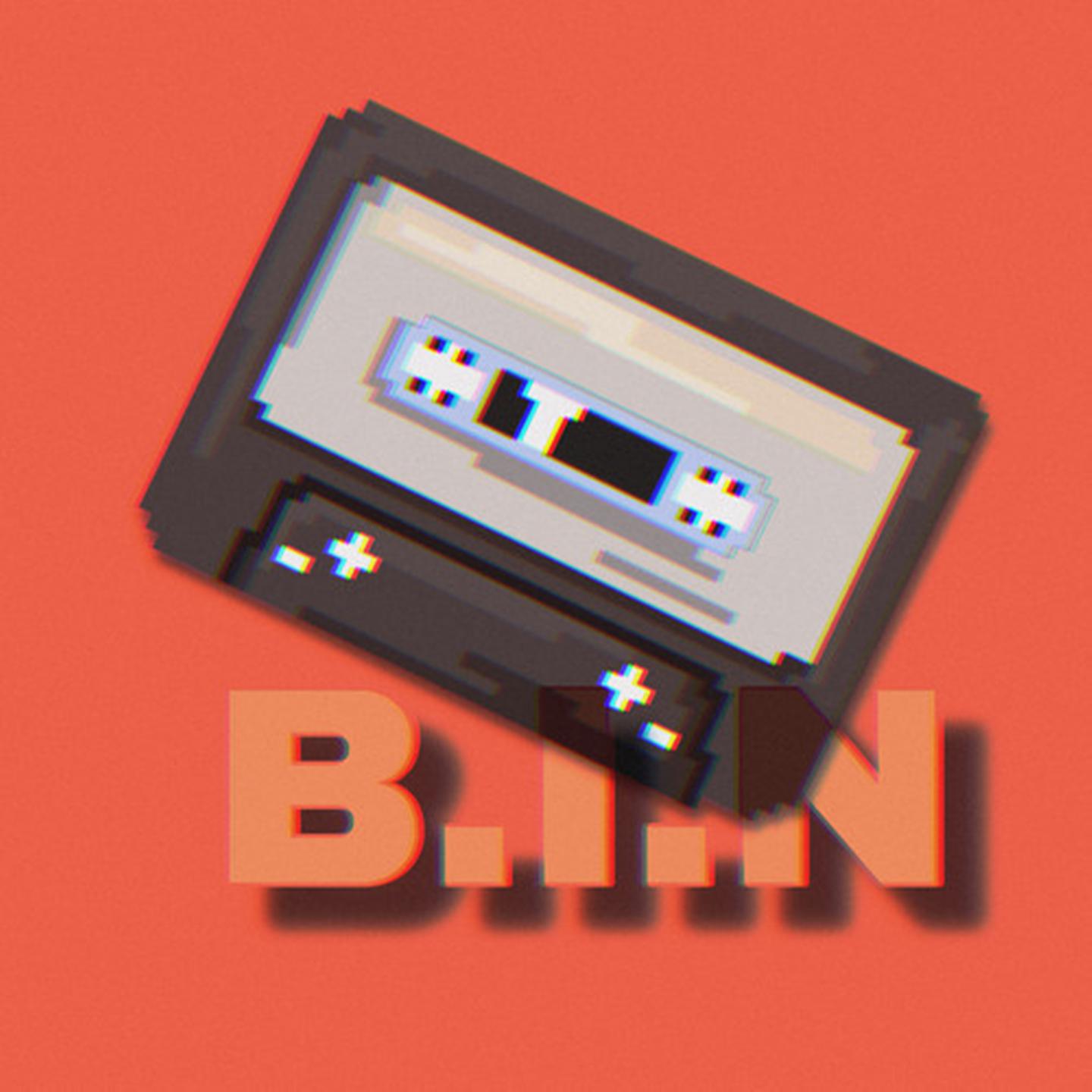B.I.N