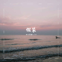假装