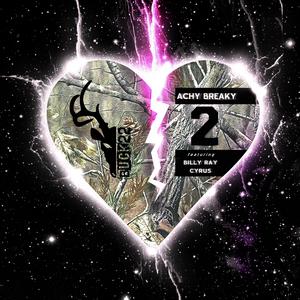 Achy Breaky 2 - Buck 22 Feat. Billy Ray Cyrus (SC karaoke) 带和声伴奏 （升2半音）