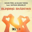 Blinding Shadows专辑