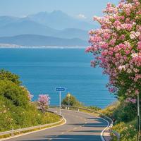 热情噪音 - 破碎的旋律