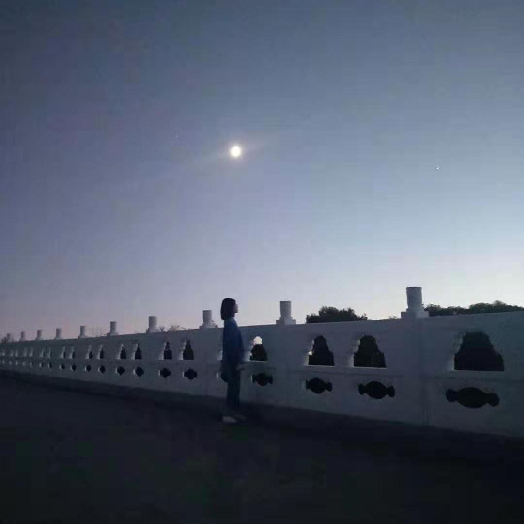 晚枫歌（片段）（翻自 阮言（Ruany））