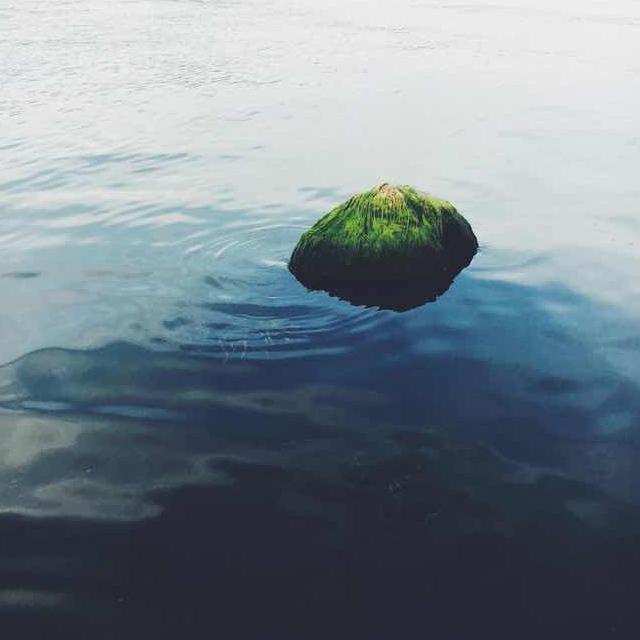 我要汇入你的湖泊