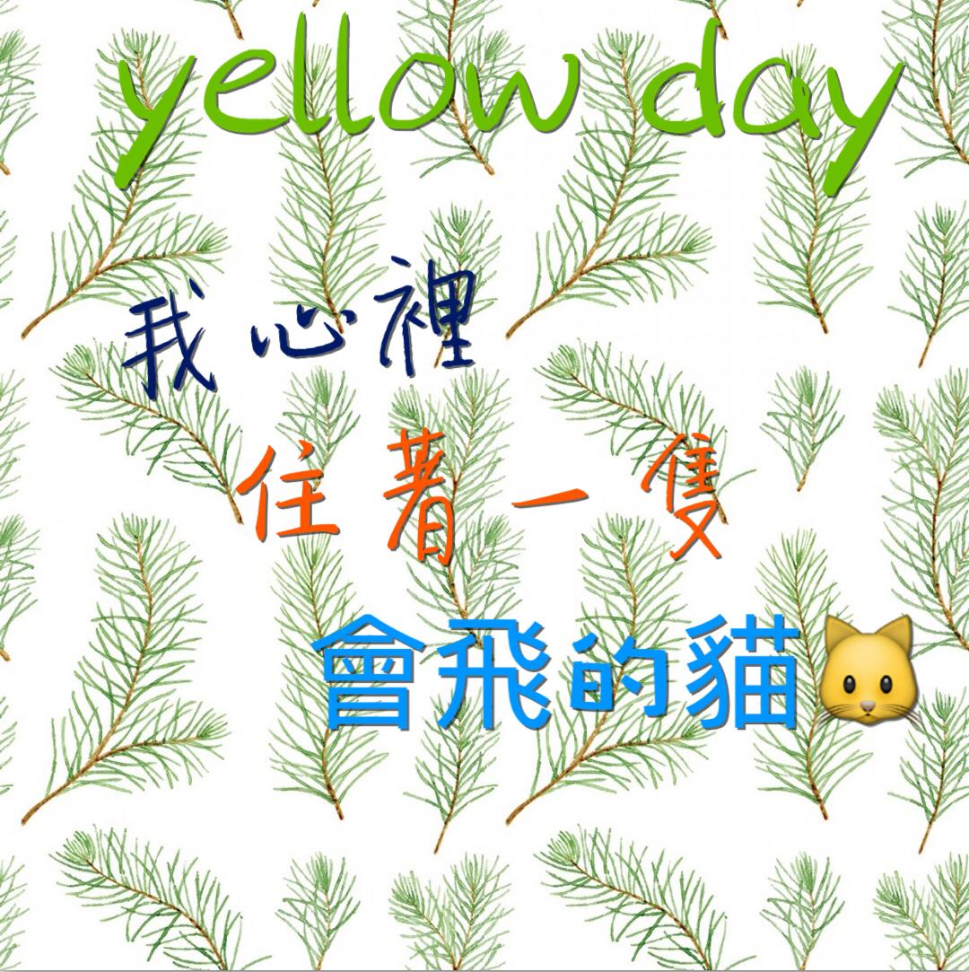 我心里住着一只会飞的猫
