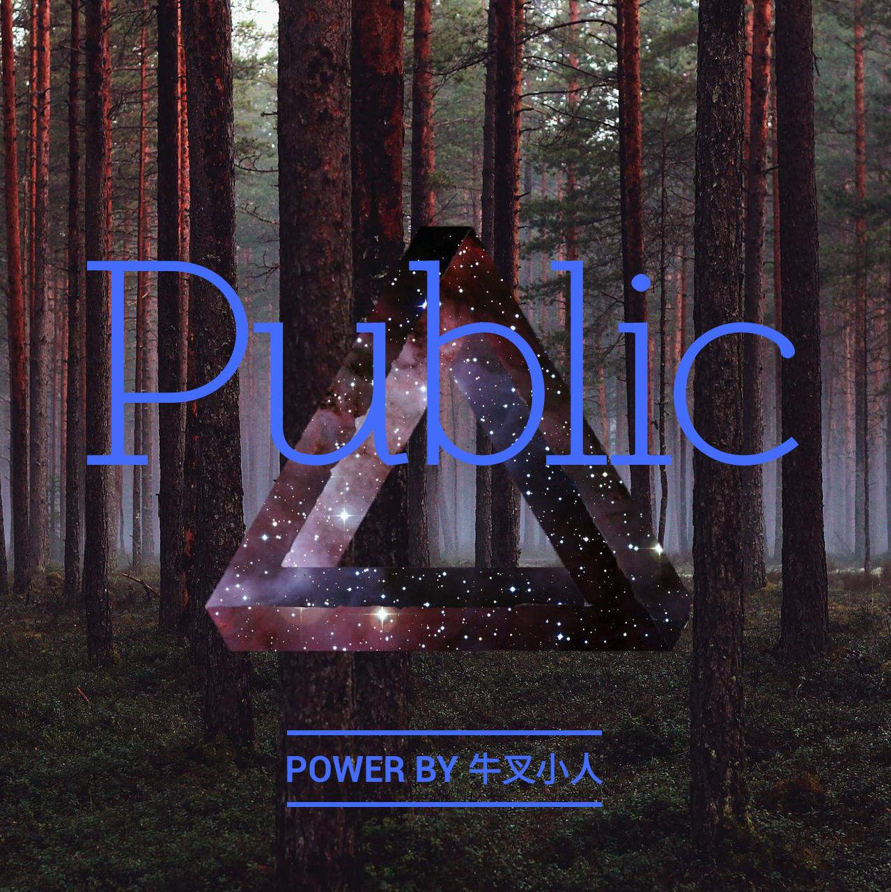 Public专辑