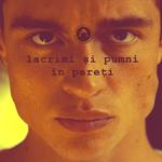 Lacrimi Si Pumni In Pereti专辑