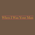 When I Was Your Man