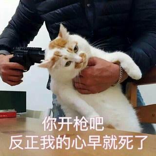 今天鹿晗关晓彤分手了吗