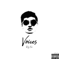 Voices