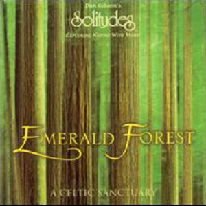 Dan Gibson - Emerald Forest （升6半音）
