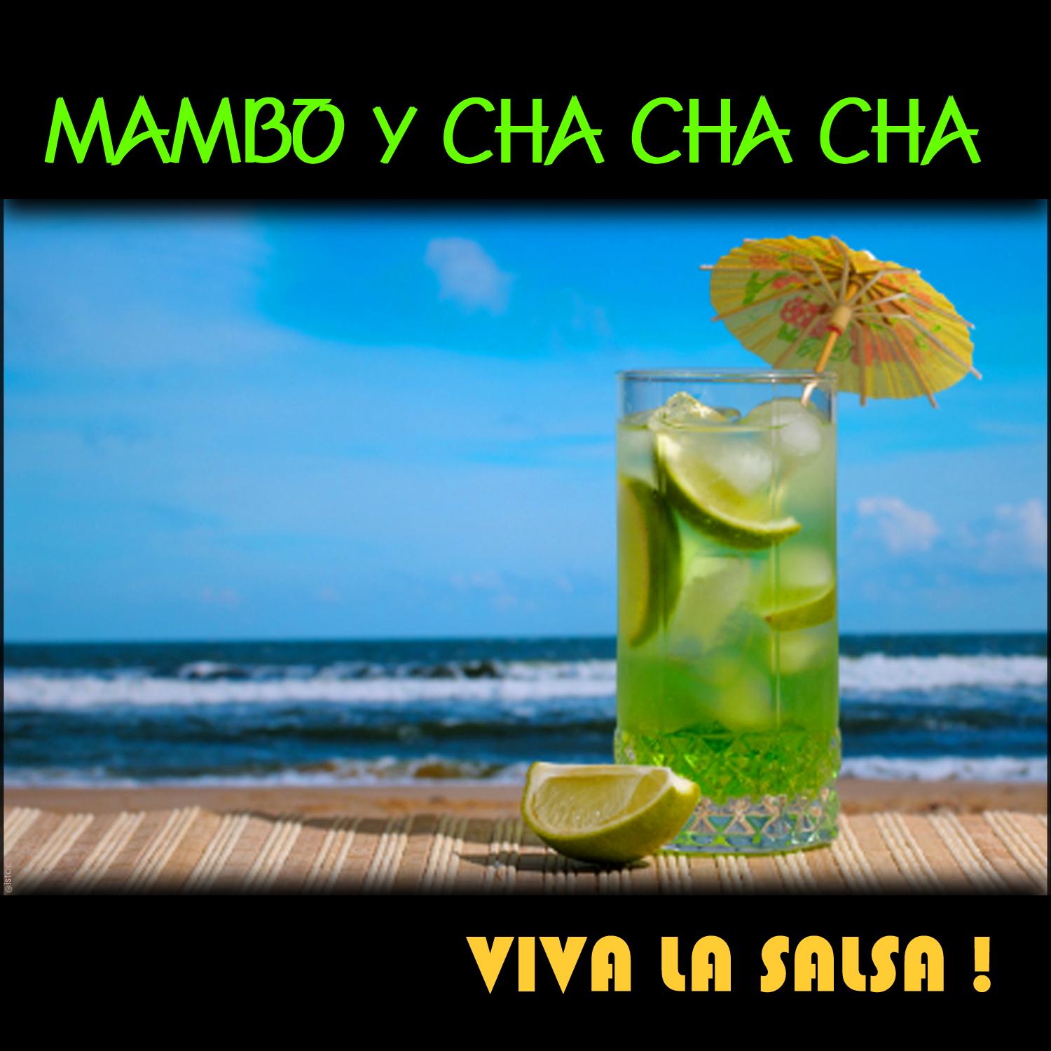 Mambo Y Cha Cha Cha, Viva La Salsa !
