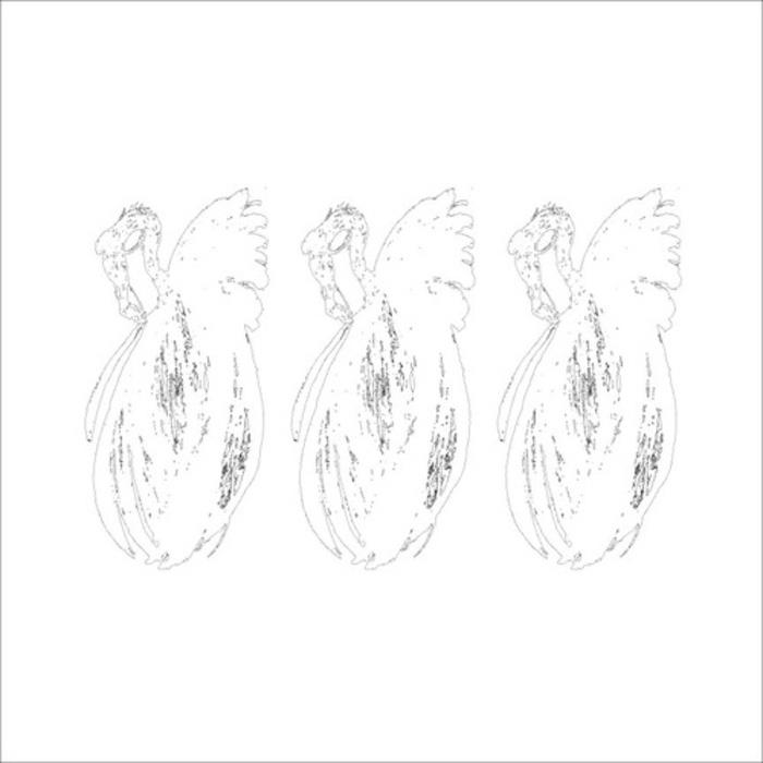 Shed Skin