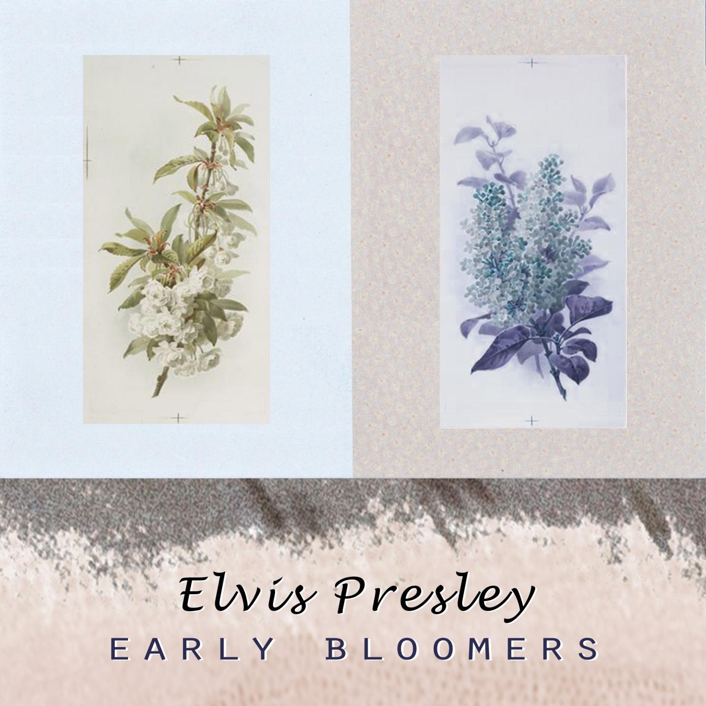 Early Bloomers专辑