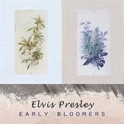 Early Bloomers