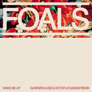Foals - Wake Me Up （降7半音）