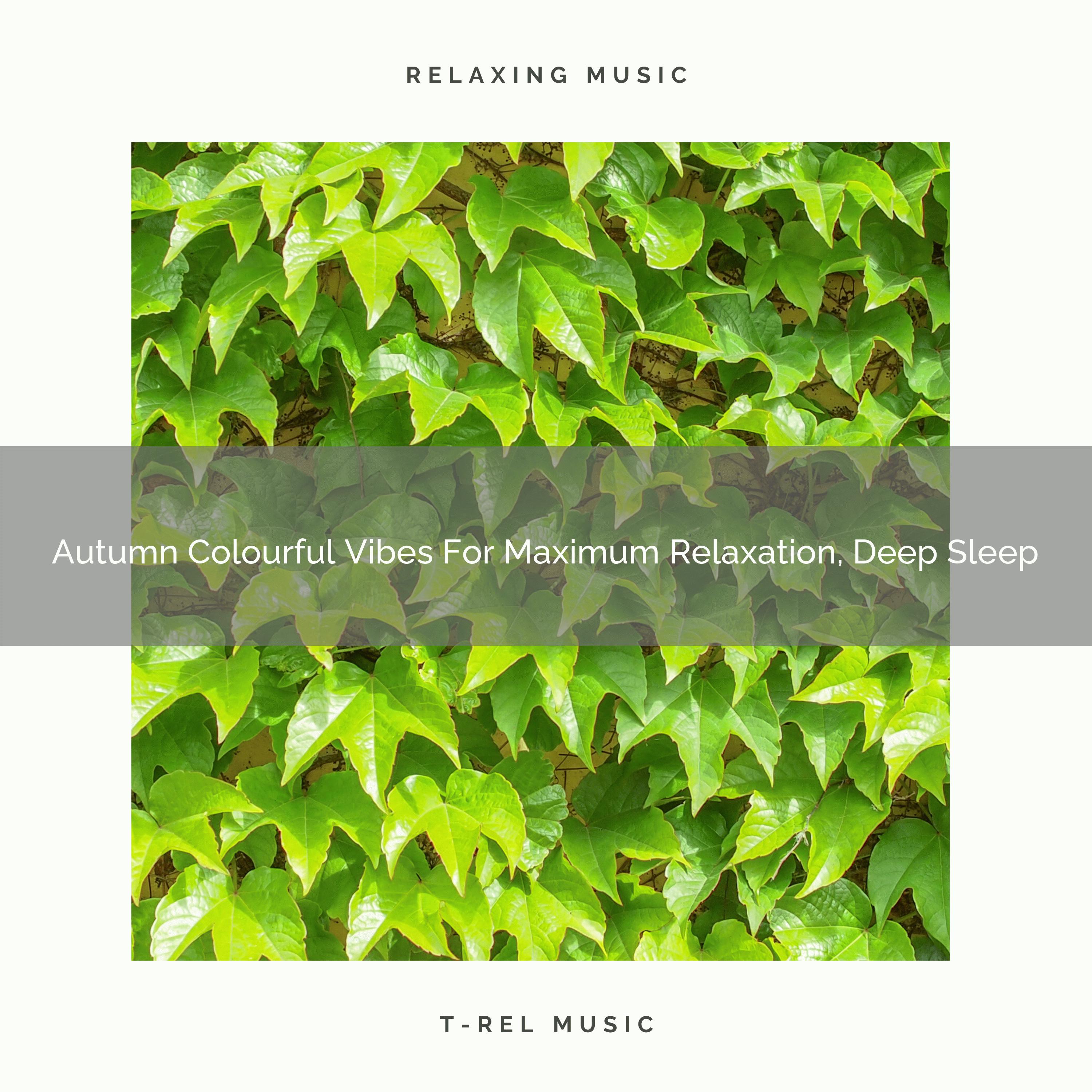 Autumn Colourful Vibes For Maximum Relaxation, Deep Sleep