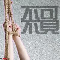我爱上了天边的人(有甜美真女生)合唱伴奏