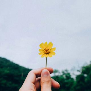 治愈向|你我如此渺小，为何不快乐过一生？